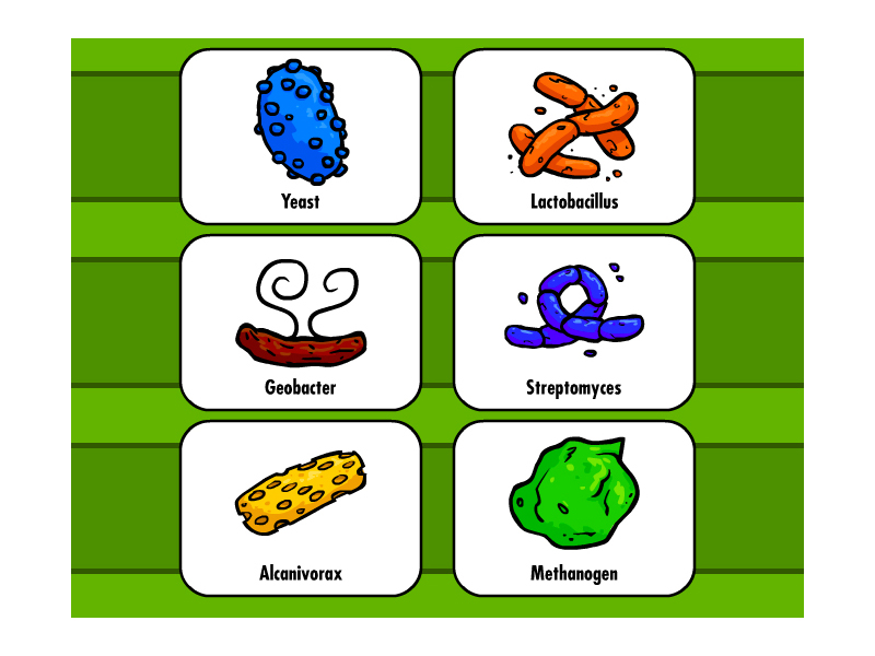 Microbes